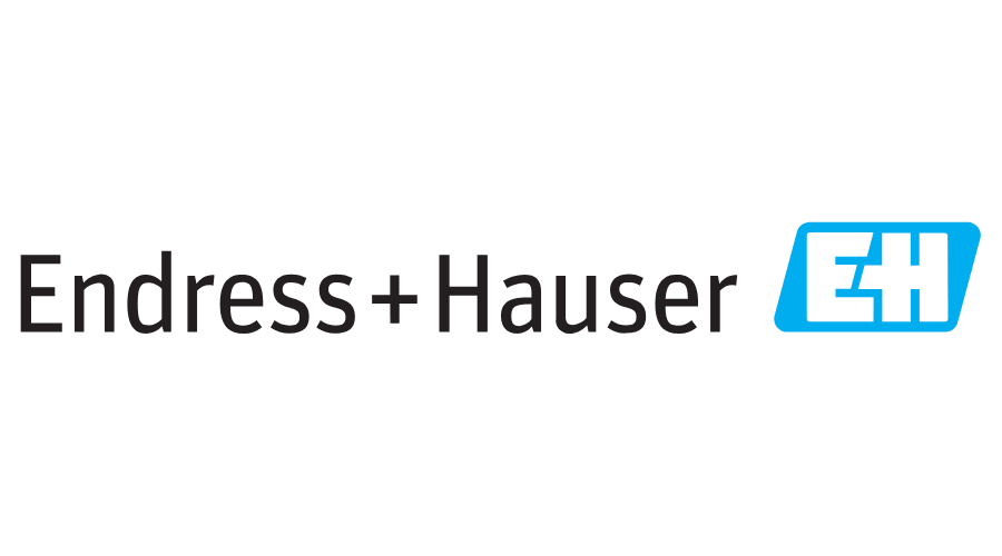 Endress Hauser is the partner of Plasma Machinery Design LLC